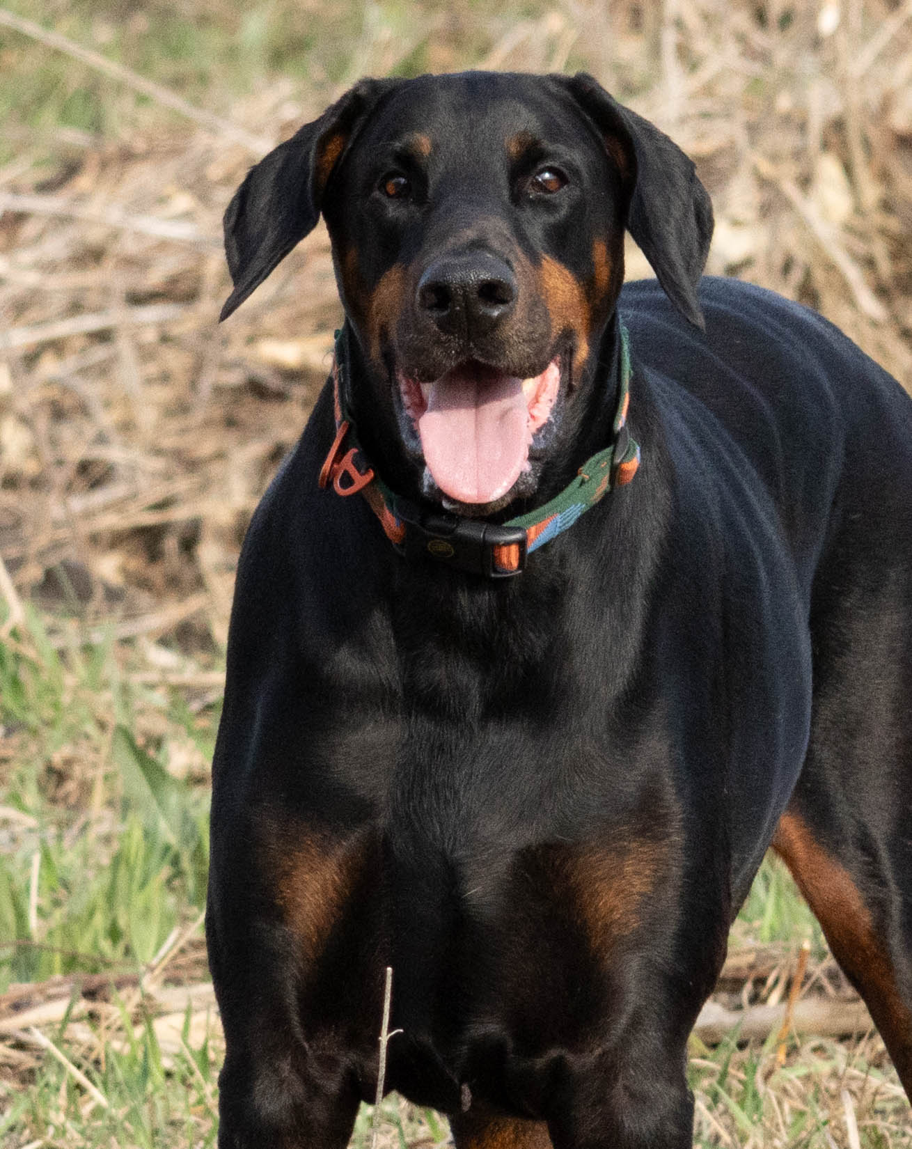 Zeke