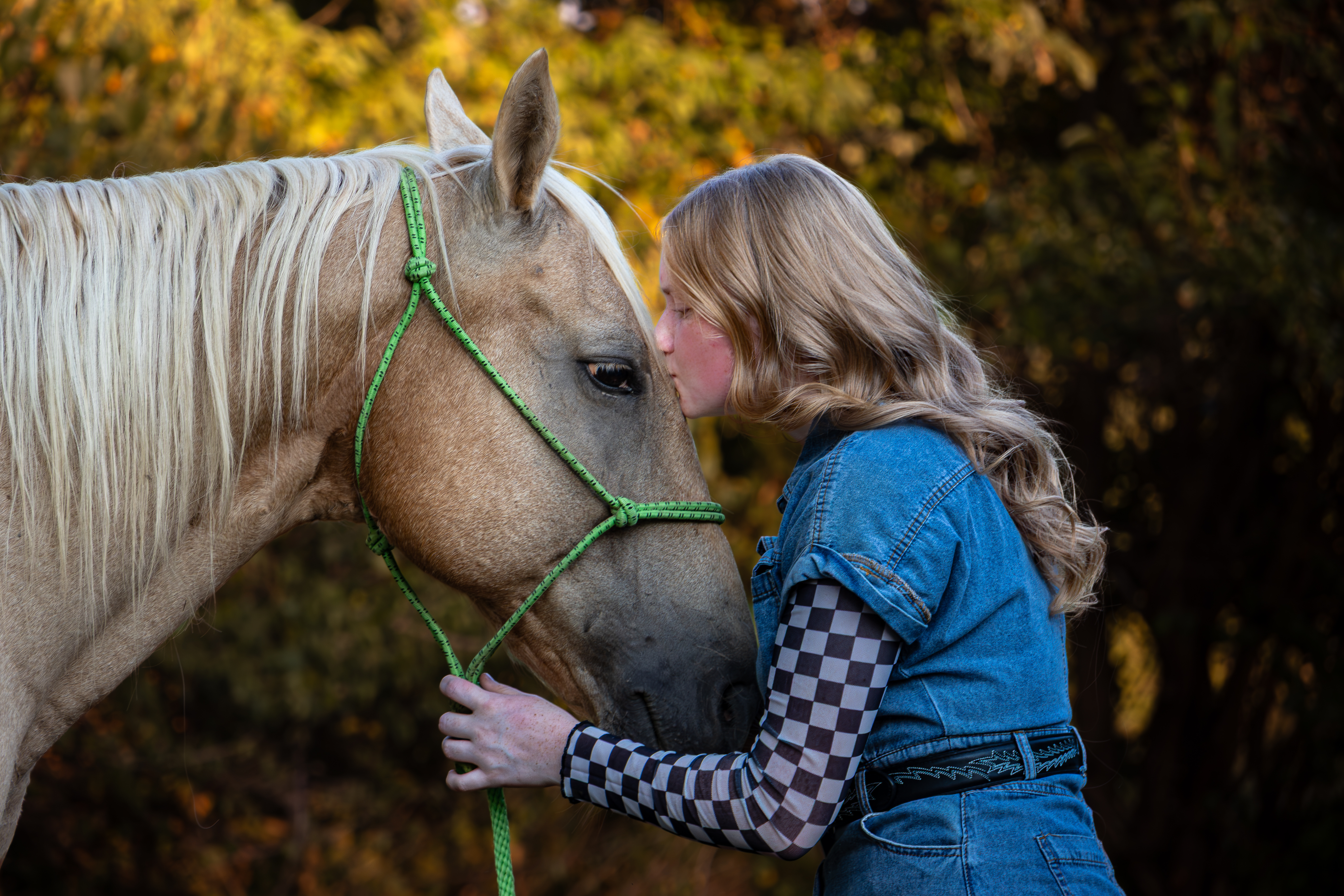 A girl and her mare