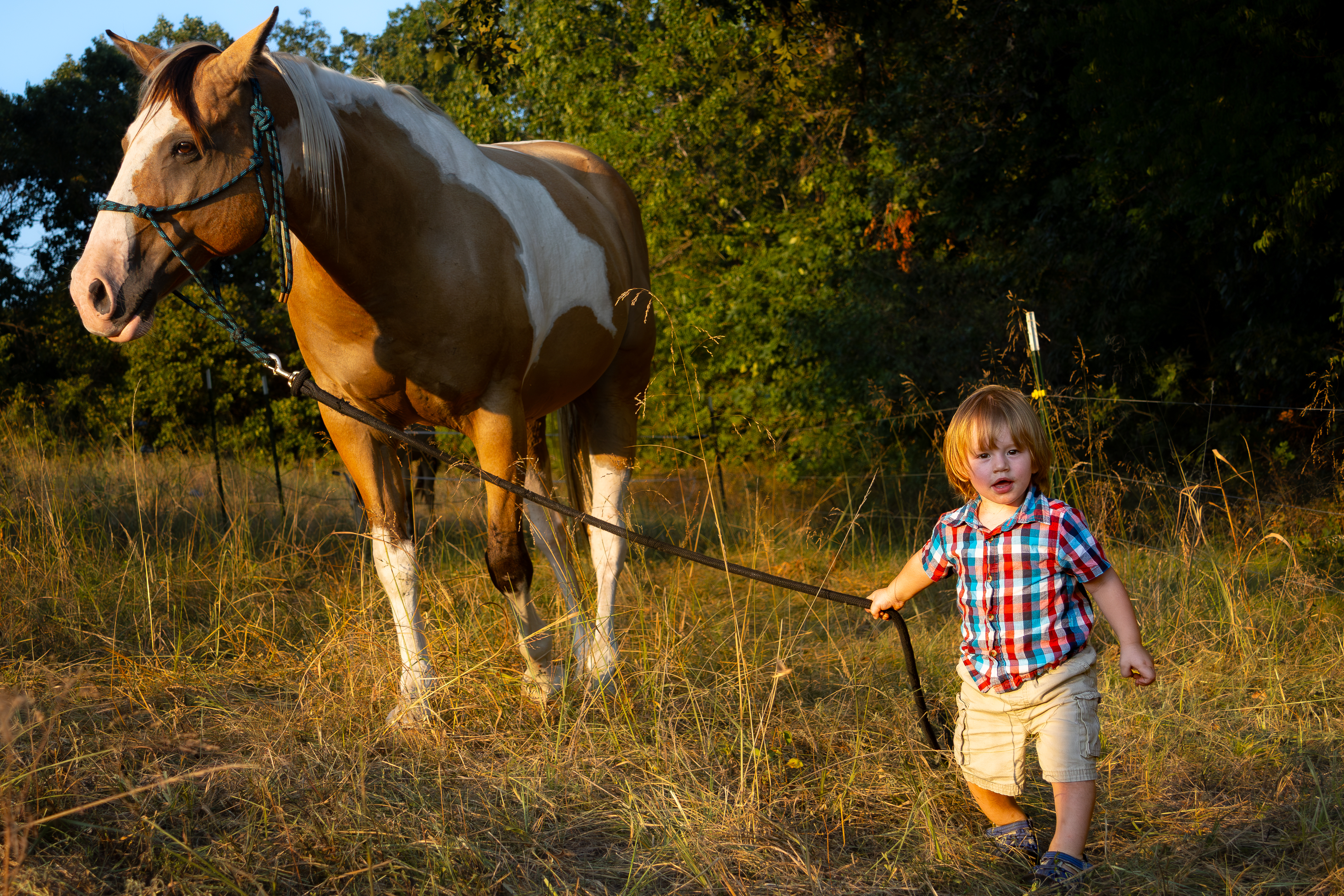 A boy leading a horse